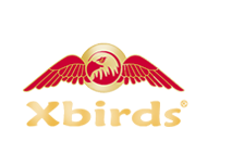 xbirds